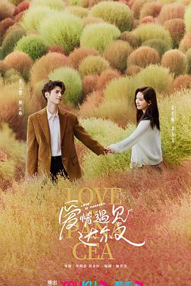 手机网站优化的公司